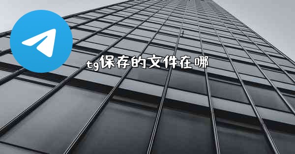 tg保存的文件在哪