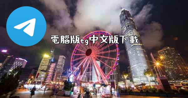 電腦版tg中文版下載