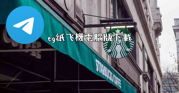tg纸飞機電腦版下載
