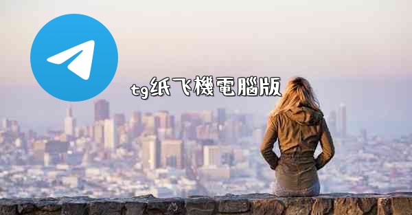 tg纸飞機電腦版