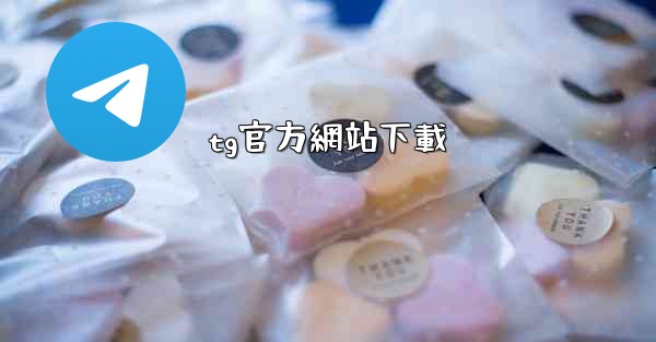 tg官方網站下載