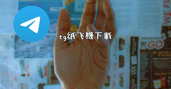 tg纸飞機下載