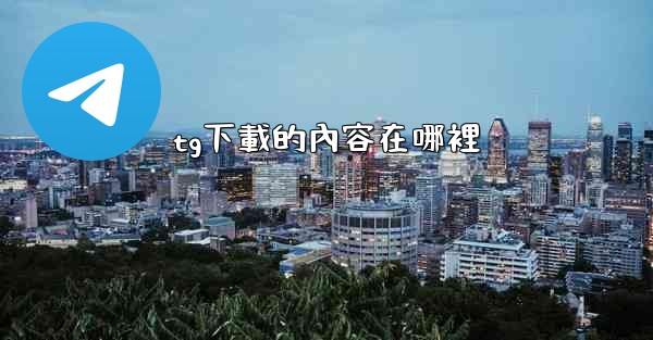 tg下載的內容在哪裡