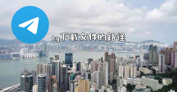 tg下載文件的路径