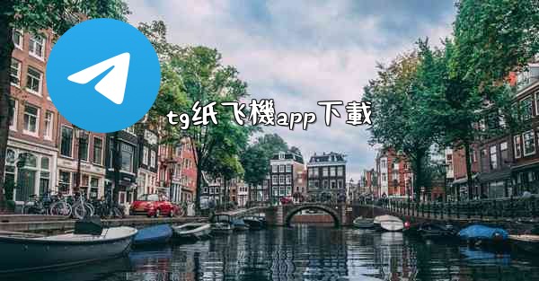 tg纸飞機app下載