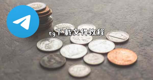 tg下載文件教程