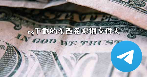 tg下載的东西在哪個文件夹