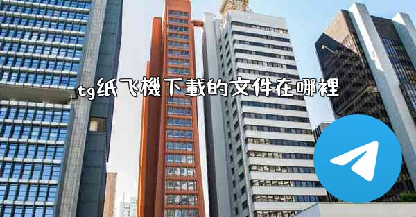 tg纸飞機下載的文件在哪裡