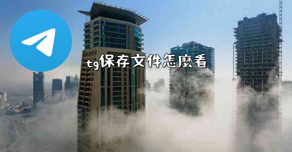 tg保存文件怎麼看