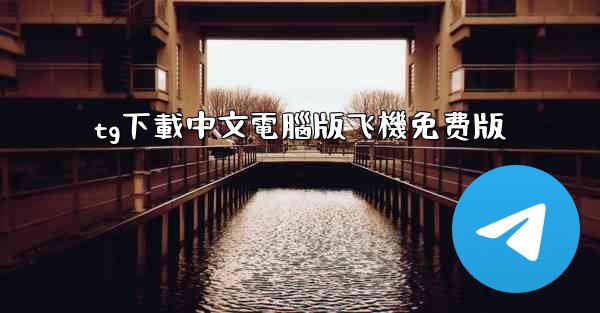 tg下載中文電腦版飞機免费版