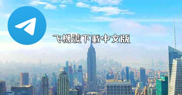 飞機號下載中文版