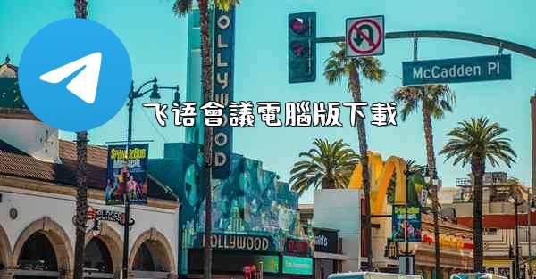 飞语會議電腦版下載