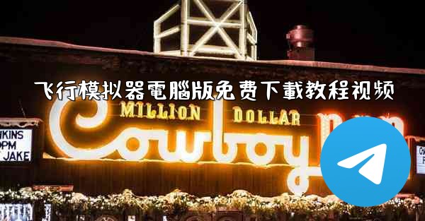 飞行模拟器電腦版免费下載教程视频