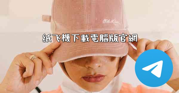 纸飞機下載電腦版官網