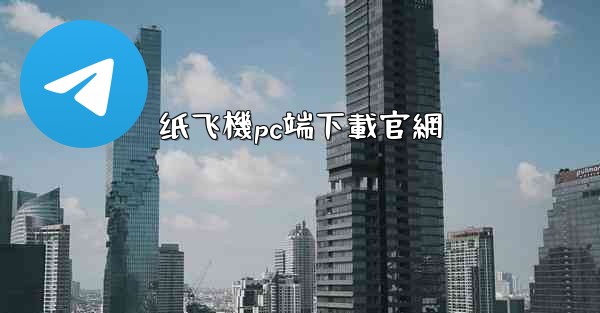 纸飞機pc端下載官網