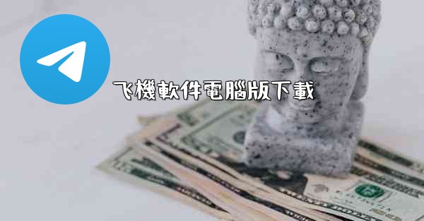 飞機軟件電腦版下載