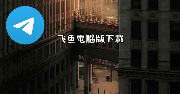 飞鱼電腦版下載