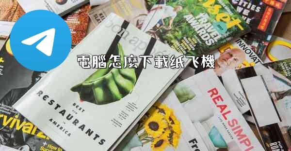 電腦怎麼下載纸飞機