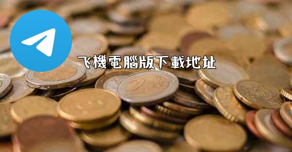 飞機電腦版下載地址