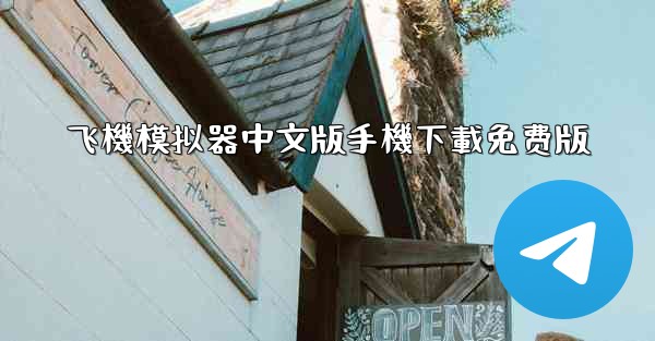 飞機模拟器中文版手機下載免费版