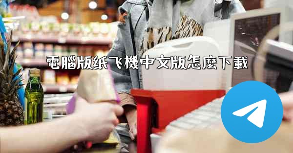 電腦版纸飞機中文版怎麼下載