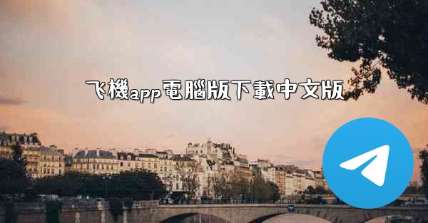 飞機app電腦版下載中文版