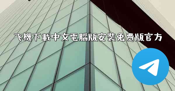 飞機下載中文電腦版安裝免费版官方