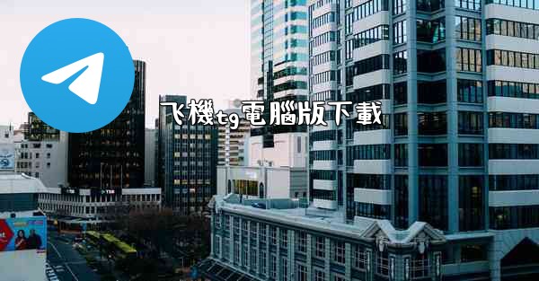 飞機tg電腦版下載