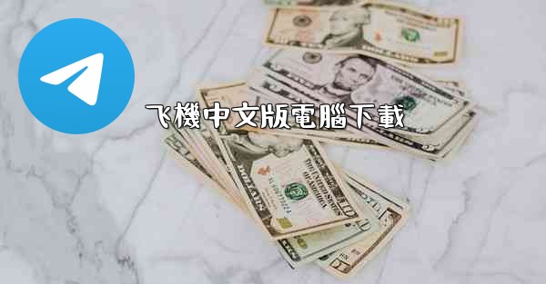 飞機中文版電腦下載