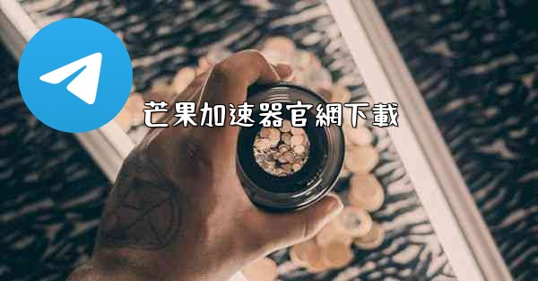 芒果加速器官網下載