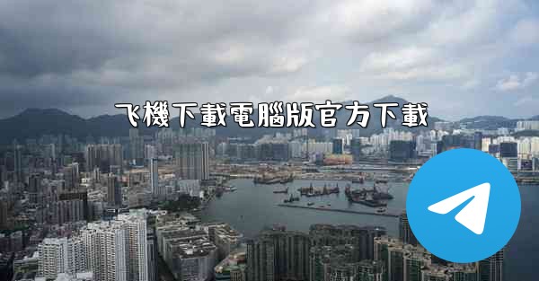 飞機下載電腦版官方下載