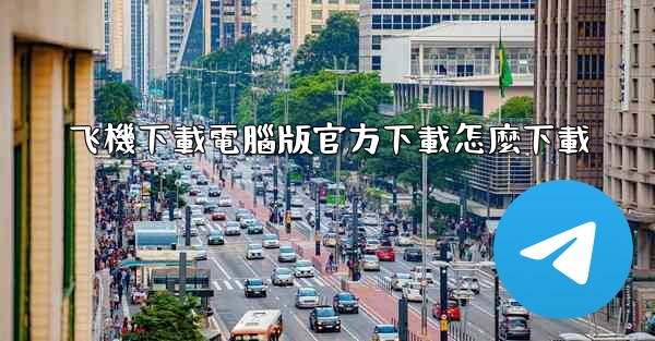 飞機下載電腦版官方下載怎麼下載