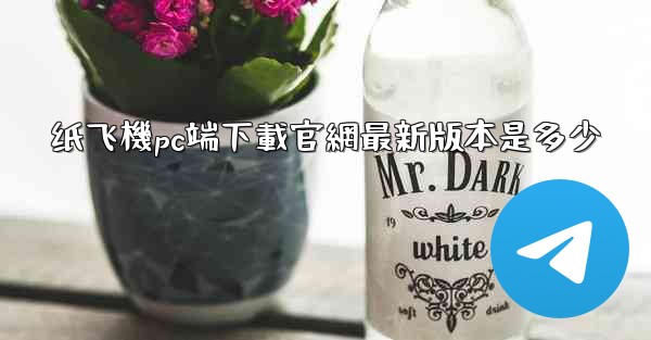 纸飞機pc端下載官網最新版本是多少