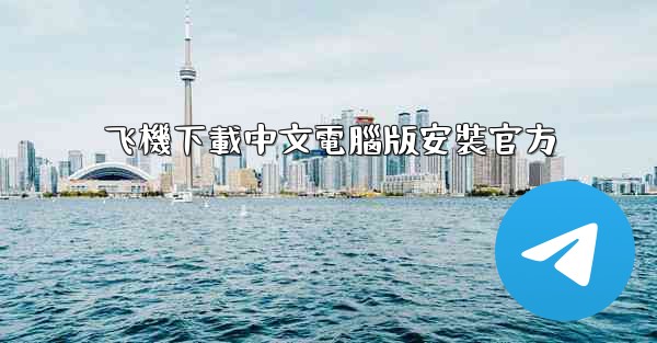 飞機下載中文電腦版安裝官方