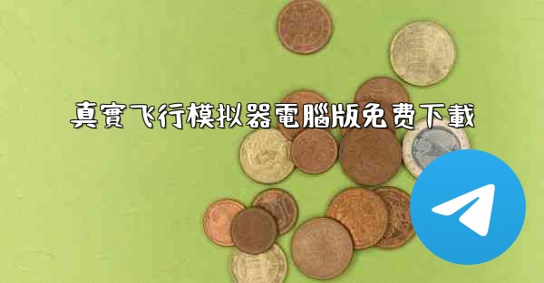 真實飞行模拟器電腦版免费下載