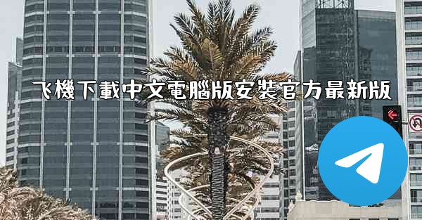 飞機下載中文電腦版安裝官方最新版