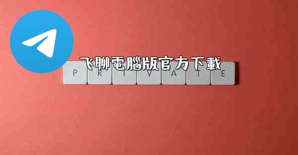 飞聊電腦版官方下載