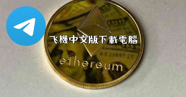 飞機中文版下載電腦