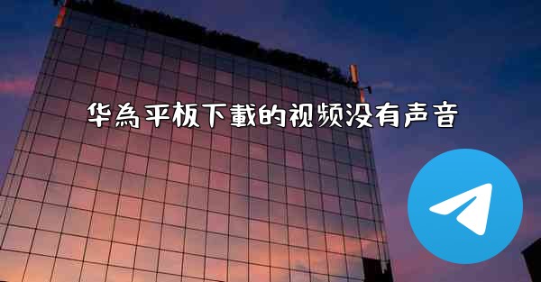 华為平板下載的视频没有声音