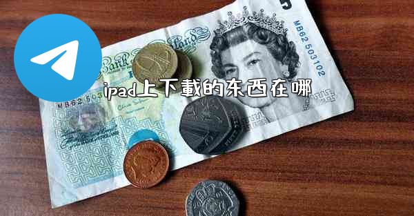ipad上下載的东西在哪