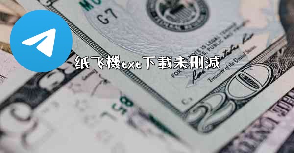 纸飞機txt下載未刪減