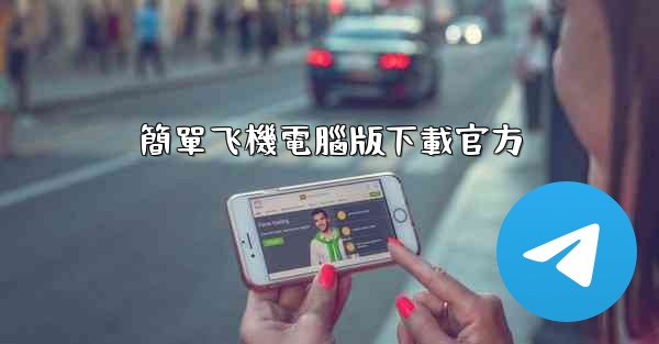 簡單飞機電腦版下載官方