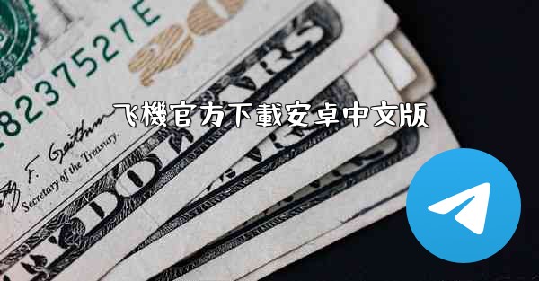 飞機官方下載安卓中文版