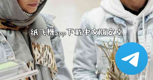 纸飞機app下載中文版安卓