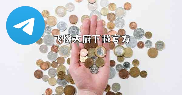 飞機大厨下載官方