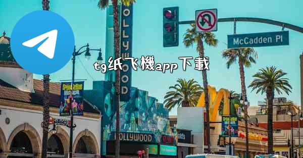tg纸飞機app下載