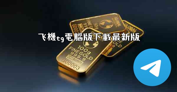 飞機tg電腦版下載最新版