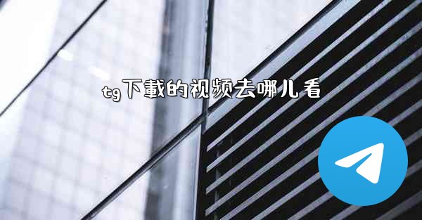 tg下載的视频去哪儿看