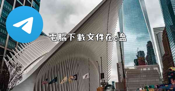 電腦下載文件在c盘