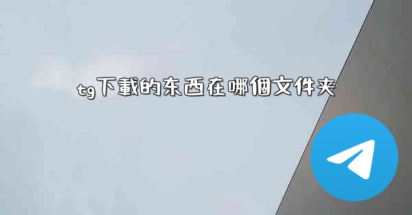 tg下載的东西在哪個文件夹